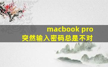 macbook pro 突然输入密码总是不对